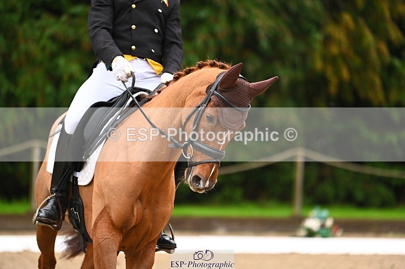 231021-104030-14505 - 231-ROUGE.ANGEL-Fred.Scala-DR