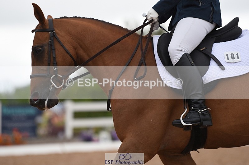 230630A-160316-03272 - Cls 3 Prelim 12