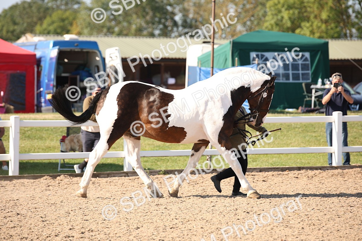 SBM_01464 - Class 15 IH Coloured