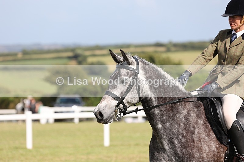 JPP_2607 - Class 20: Working Hunter 70cm