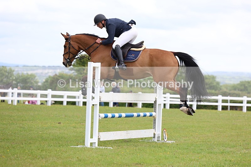 3E7A7045 - Class 12: Senior Foxhunter/1.20 open