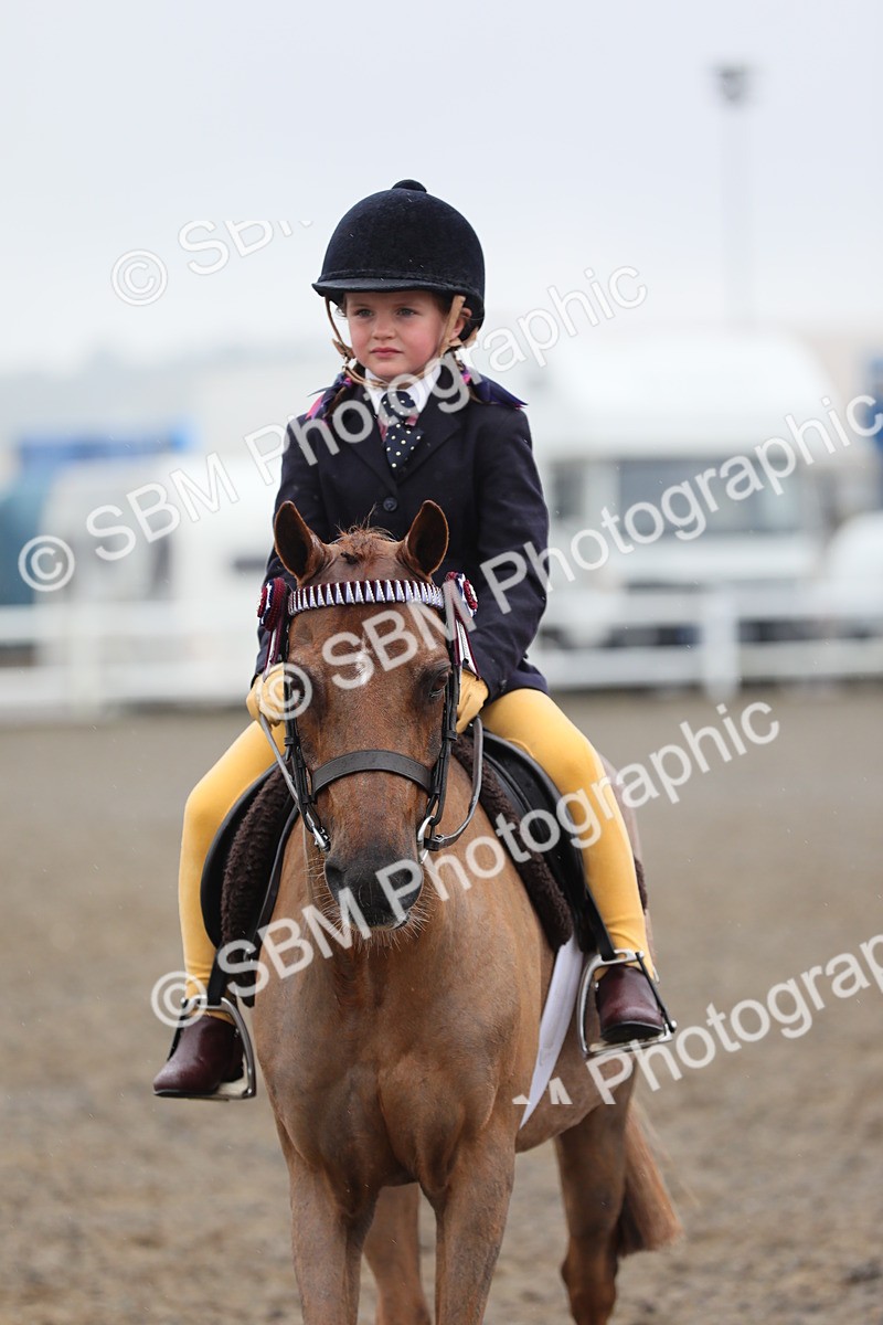 SBM_20599 - Class 804 - Ridden Veteran Pony