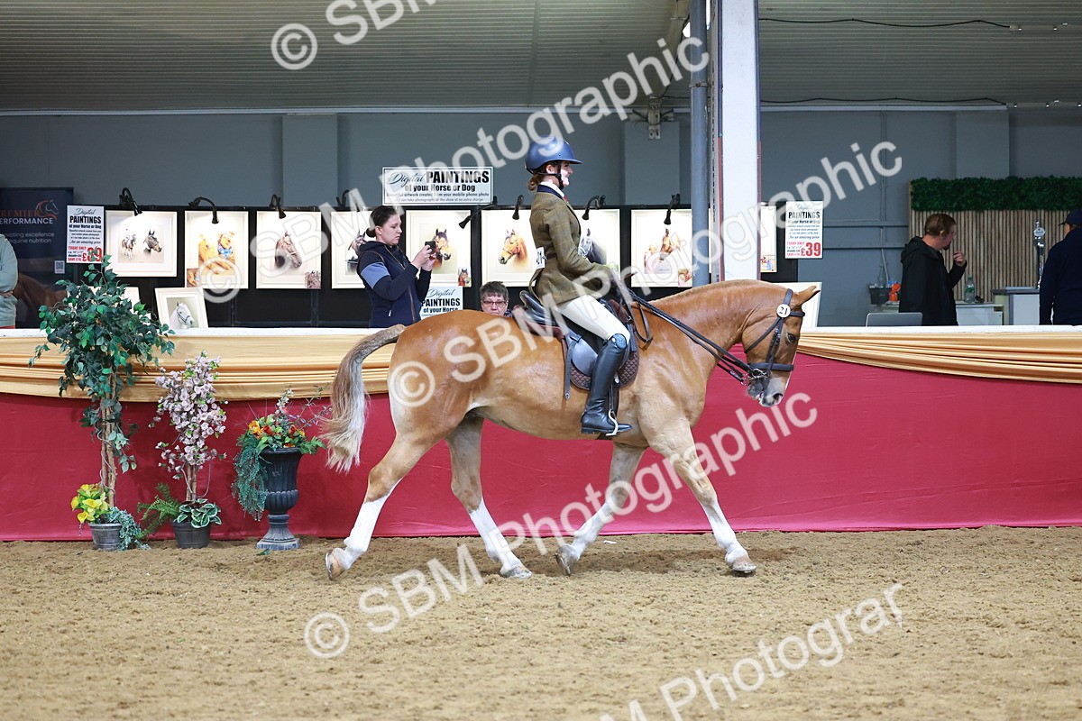 SBM_05326 - Class 11R - Ridden Veteran