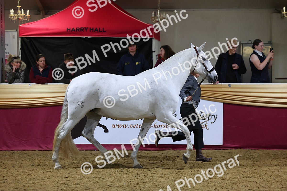 0B8A4756 - Class S Costume Concours Champ