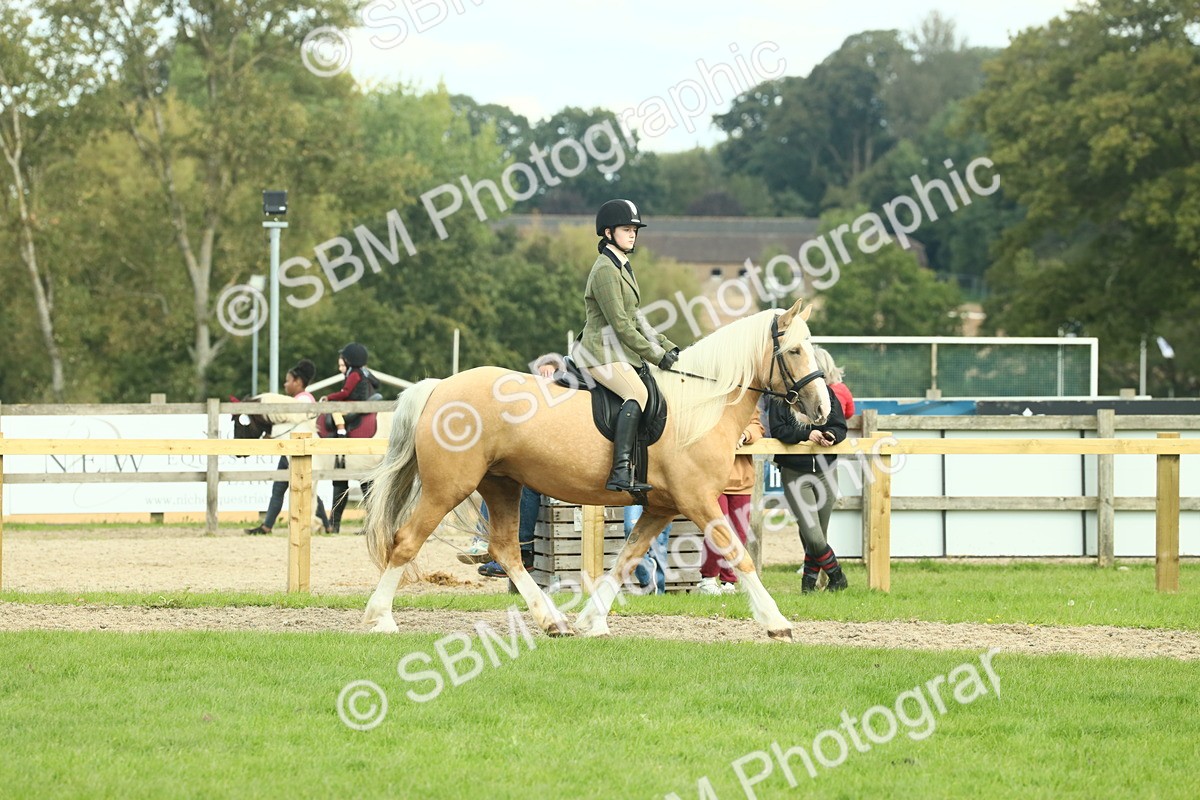 SBM_62641 - S63 - Other Coloured Horse Ridden