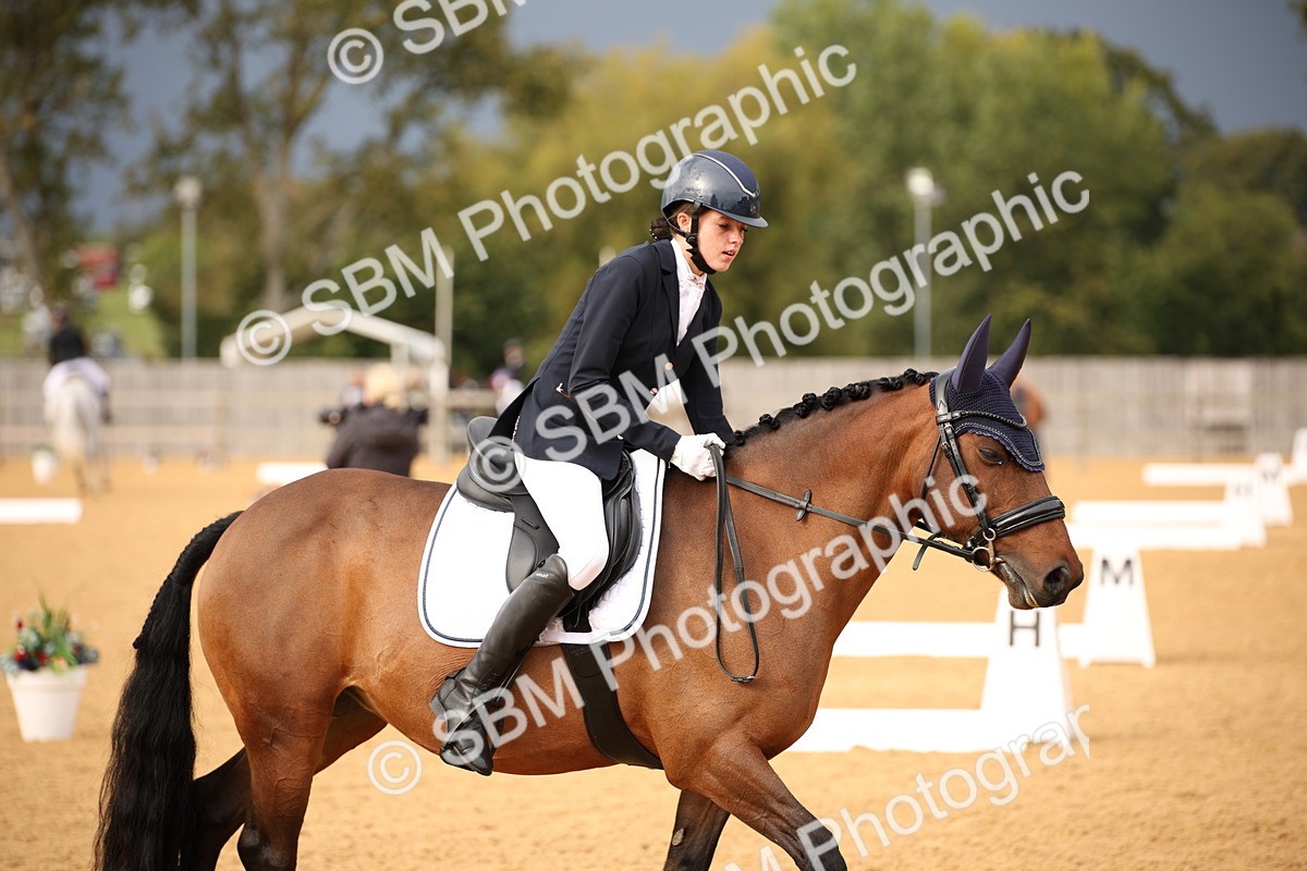 SBM_12271 - D3 Small  Tour Championship Intro A