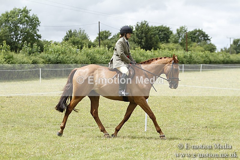 BVR160717-2275 - Working Hunter Championship 16/07/17