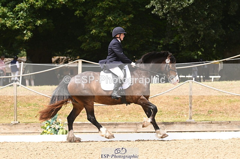 250720A-115952-10117 - 079-Amanda.Williams-Llanarth.Westminster