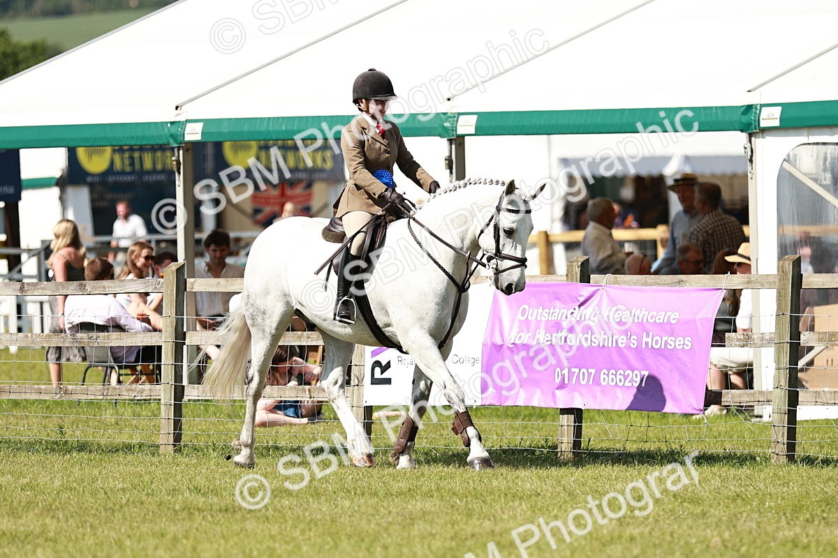 SBM_18516 - Class 112-113 - BSPS LIHS Working Sports Pony