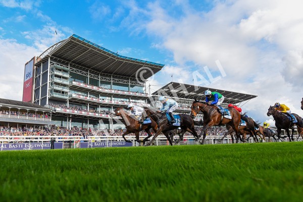 240823-Race 6-Gushing Gold-1321 - Race 6 4.45pm Or8Wellness EBF Stallions Nursery Handicap