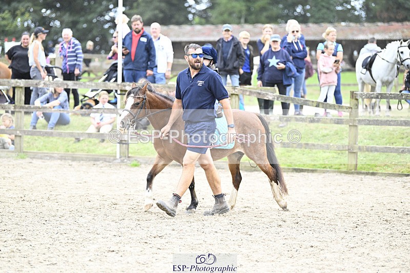 240822X-133607-08292 - 40cm LR R2 13.00 to 15.00