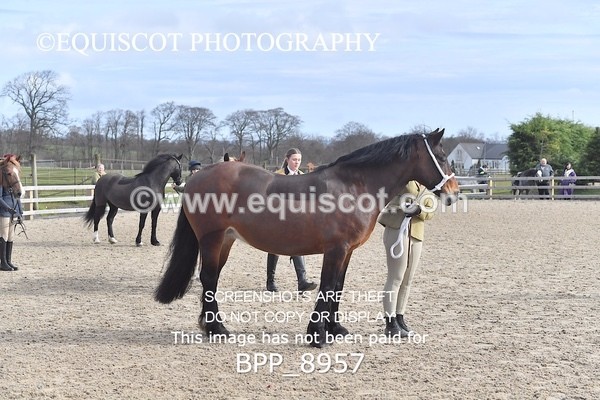 BPP_8957 - RING 2 - M&M