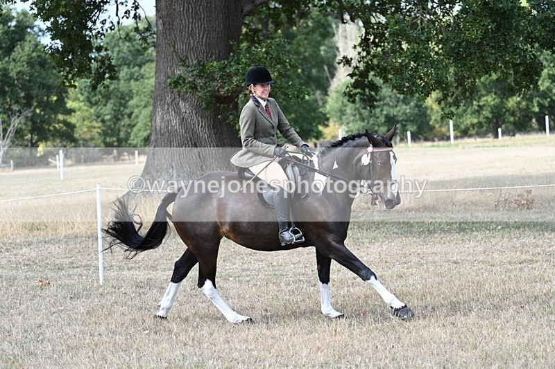 WJ7_6046 - Class 13 Ridden Veterans