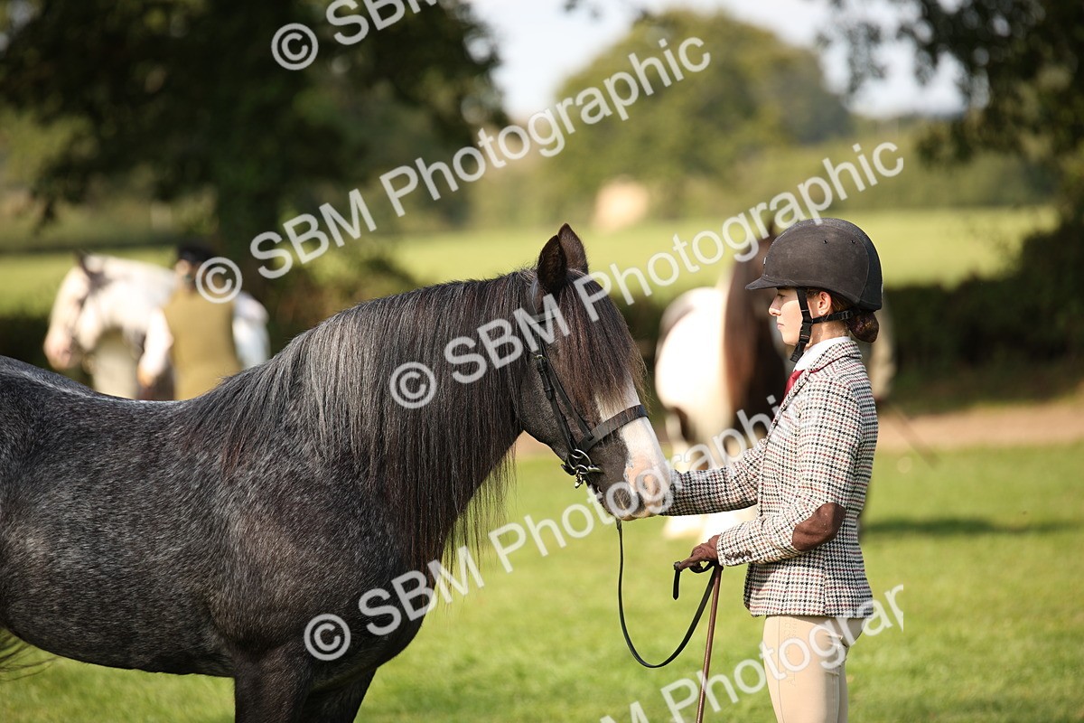 SBM_62275 - S55 - Traditional Cob In Hand