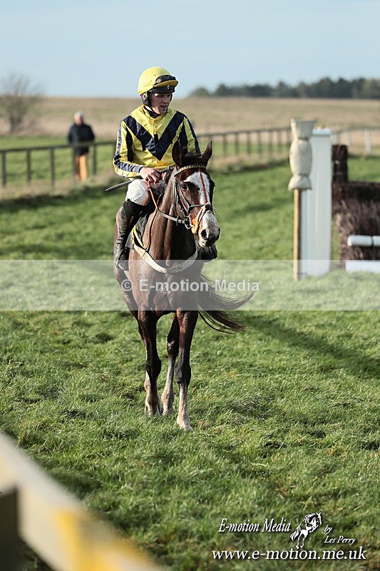 PtP 141225  1206 - New Forest Hounds PtP Larkhill 14/12/25
