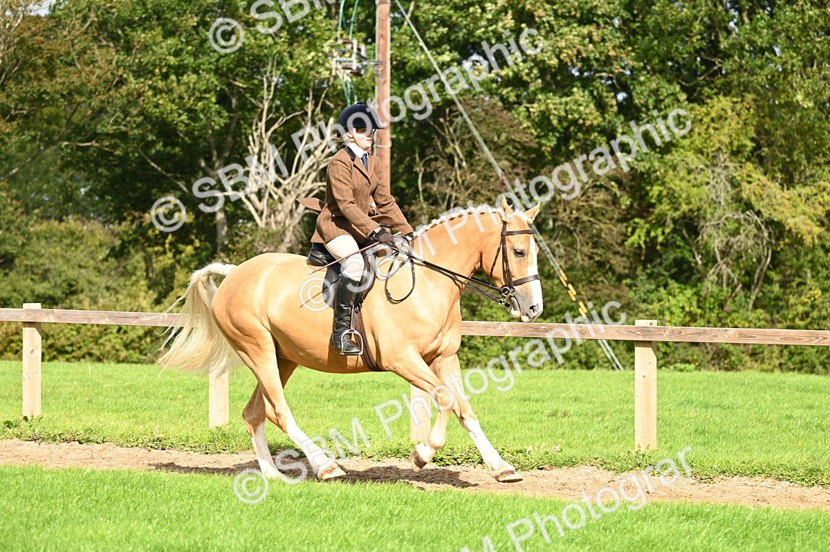 SBM_01733 - S2 - TSR Ridden Horse Showing