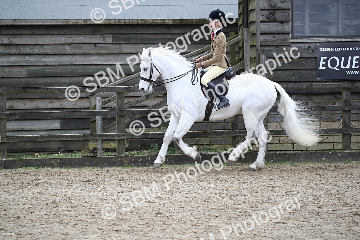 SBM_006149 - Class 10-13 - RIHS Small Large Breeds