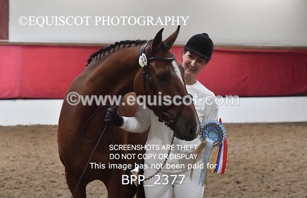 BPP_2377 - AFTERNOON 12.30 - 3.30PM