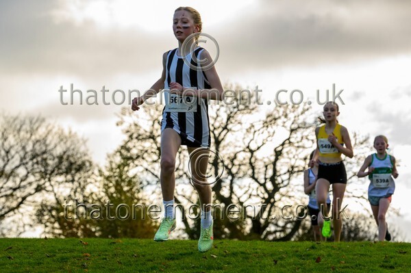 NatRel25-913153 - Young Female Set One