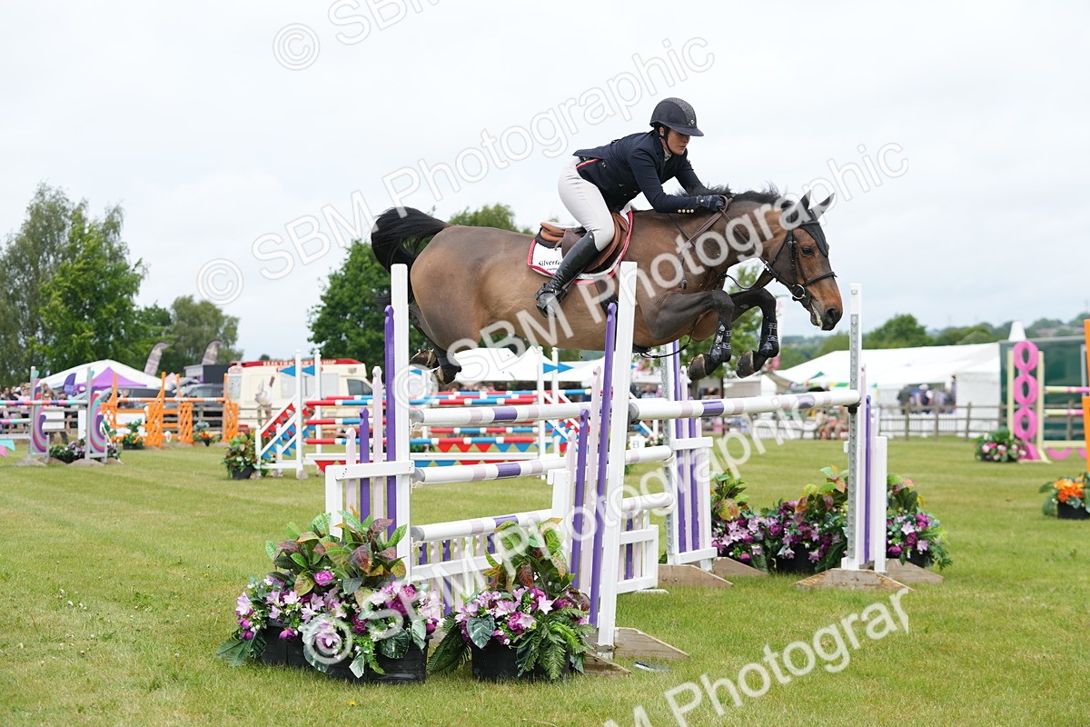 SBM_03073 - Class 201 - British Horse Feeds Speedi Beet Horse of the Year Show Grade  C
