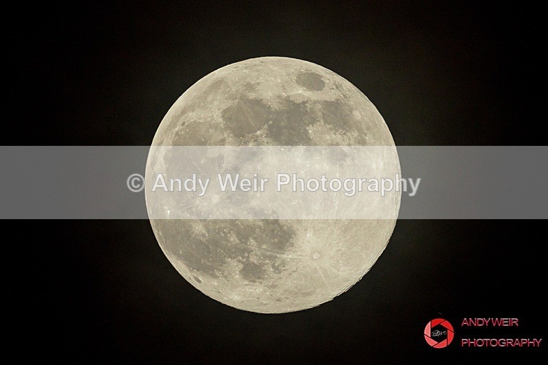 190320-untitled-1L4A0259 - Miscellaneous Photographs