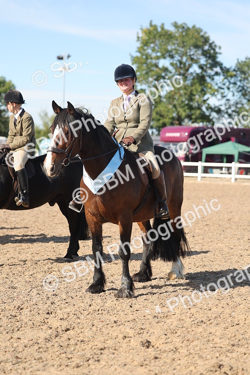 SBM_12429 - Class 304 - Ridden part Bred Horse Pony