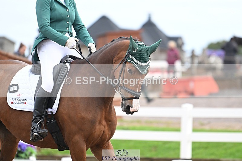 250907-113448-07253 - 001-Tracy.OKennedyWylye.Harlequin