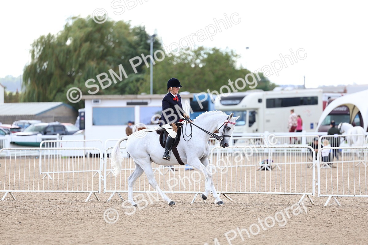 SBM_10128 - Class 304 - Ridden Part Bred Horse Pony