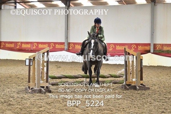 BPP_5224 - CLASS 5 HORSE AND HOUND