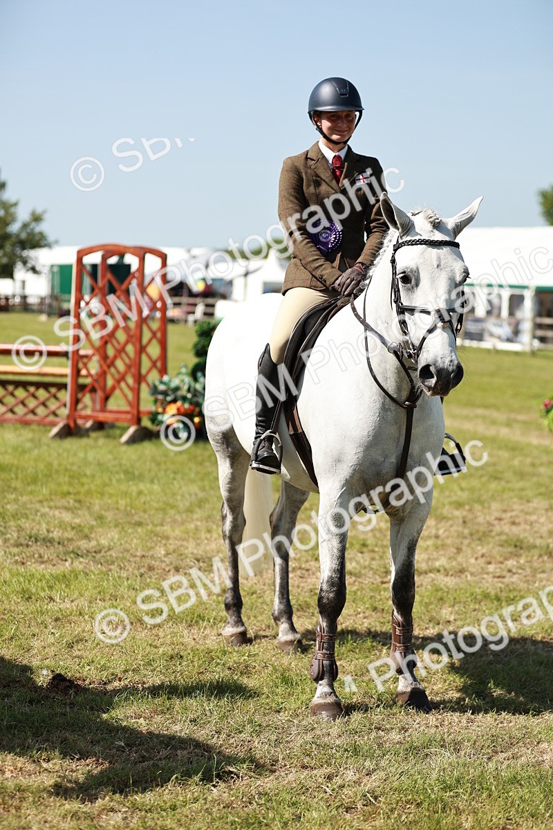 SBM_18484 - Class 112-113 - BSPS LIHS Working Sports Pony