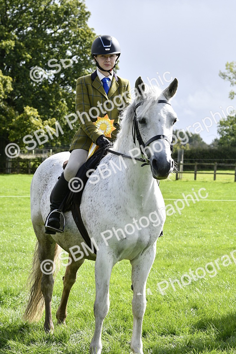 SBM_41668 - S32 - Mountain & Moorland Working Hunter Pony