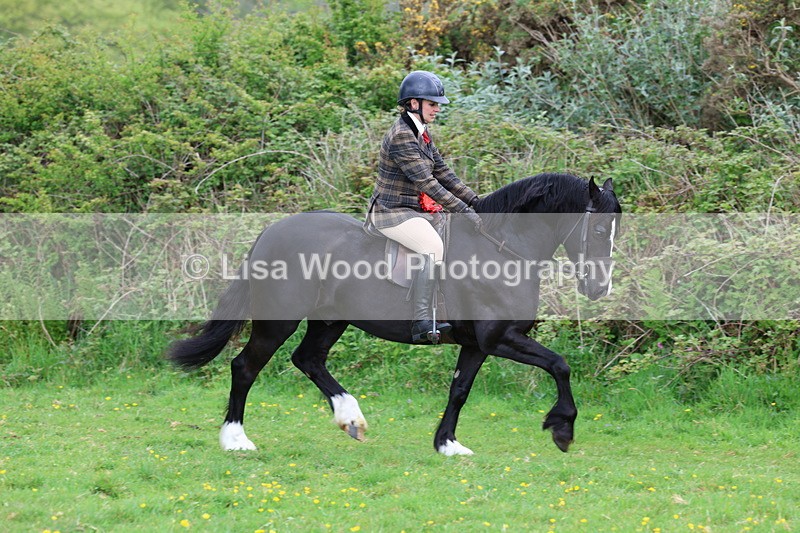 3E7A2468 - Ridden Championship