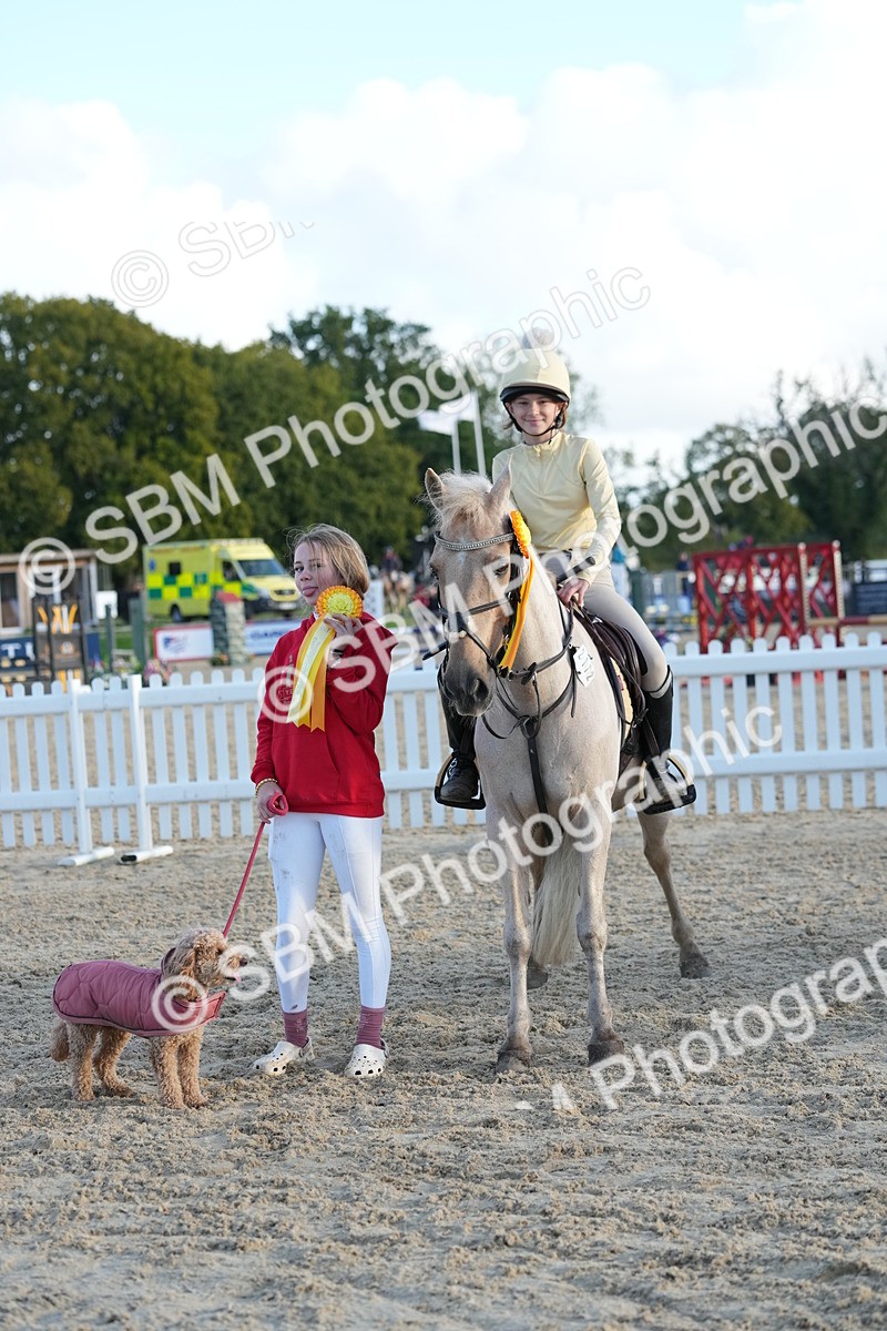 SBM_29503 - J44 - Horse & Hound Open 70cm