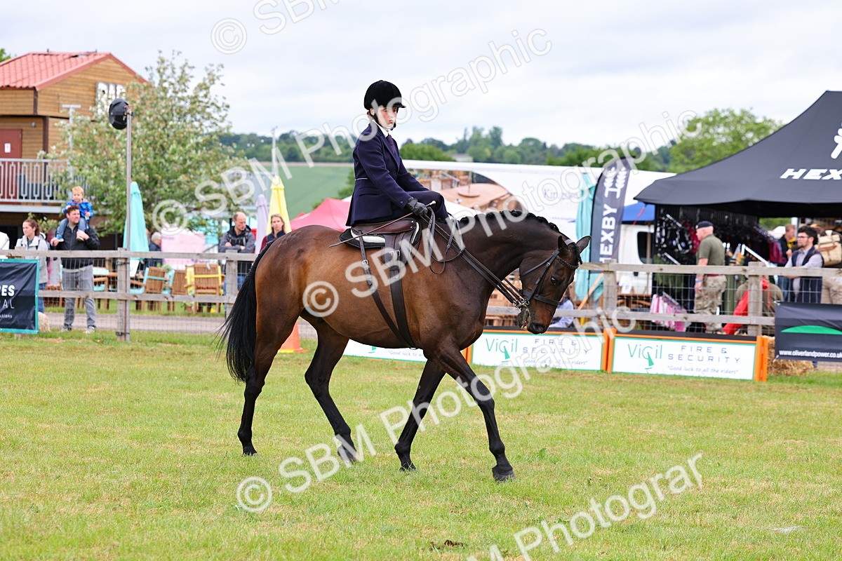 SBM_02806 - Class 9-11 Side Saddle including LIHS Rising Star Ladies Show Horse
