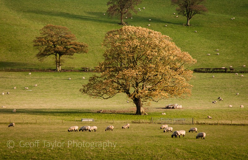 Manor Farm, Easthope autumn - Wenlock Edge