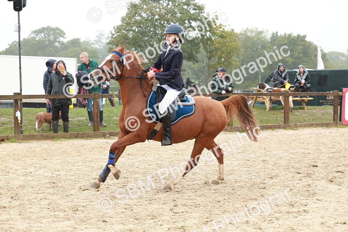 SBM_73672 - Supreme Championship Junior Pony 60cm & 65cm