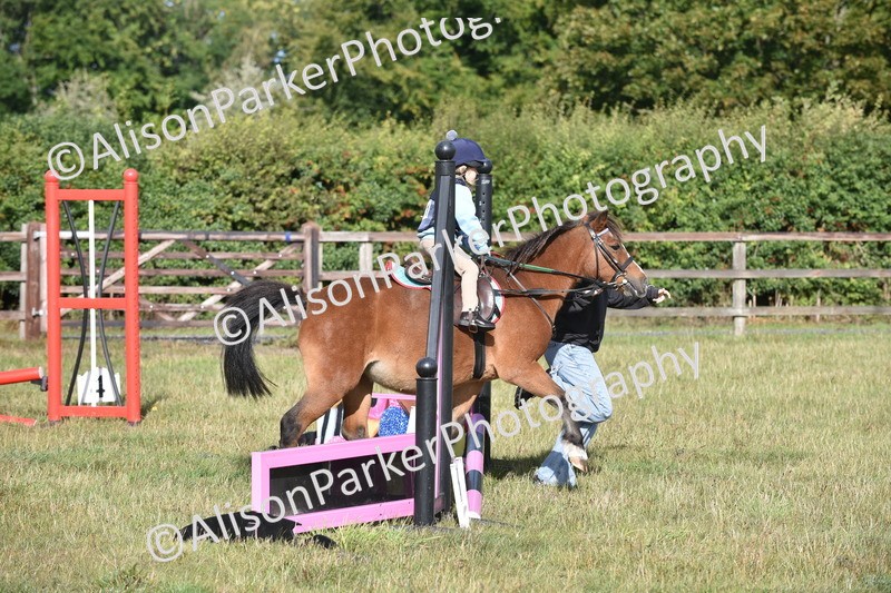 20250831-0282 - Class 6 - Minimus Jumping 30cm