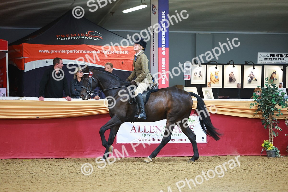SBM_09709 - Class 102 - HOYS Veteran Qualifier - Ridden Veteran