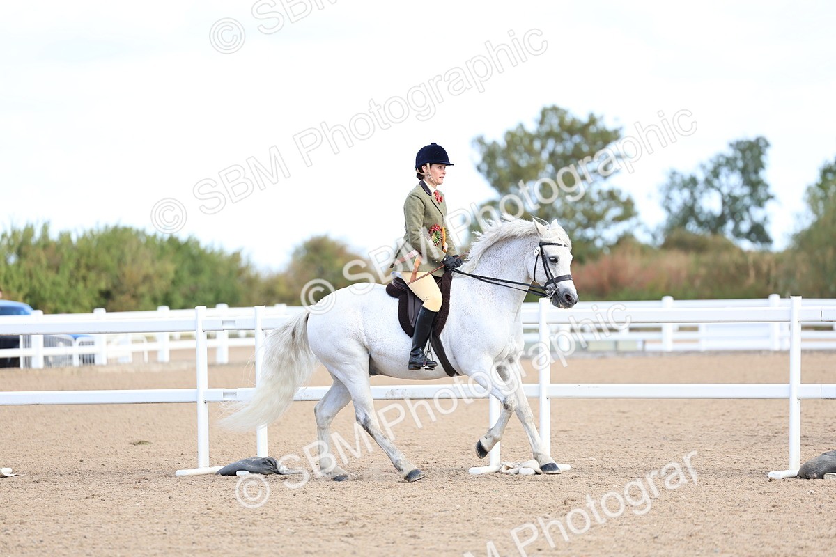 SBM_08985 - Class 302 - Ridden M&M - Large Breeds
