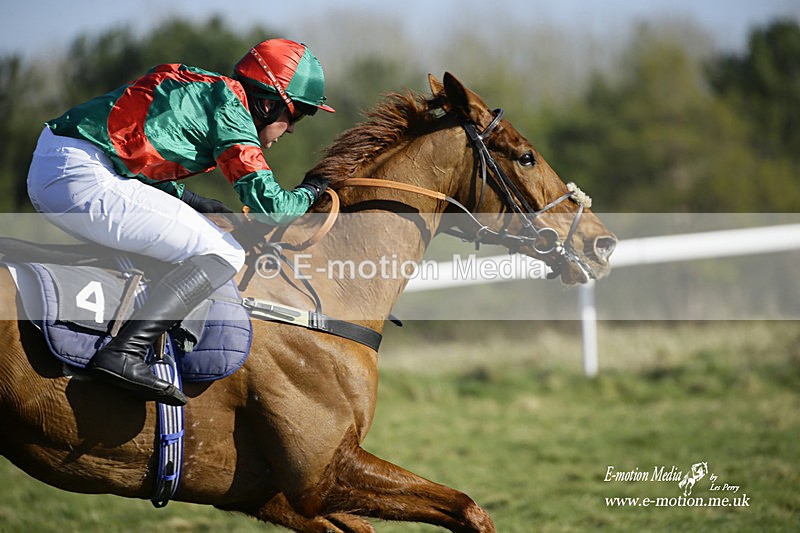 PtP 270222 127 - South & West Wilts Point-to-Point Larkhill 27/02/22