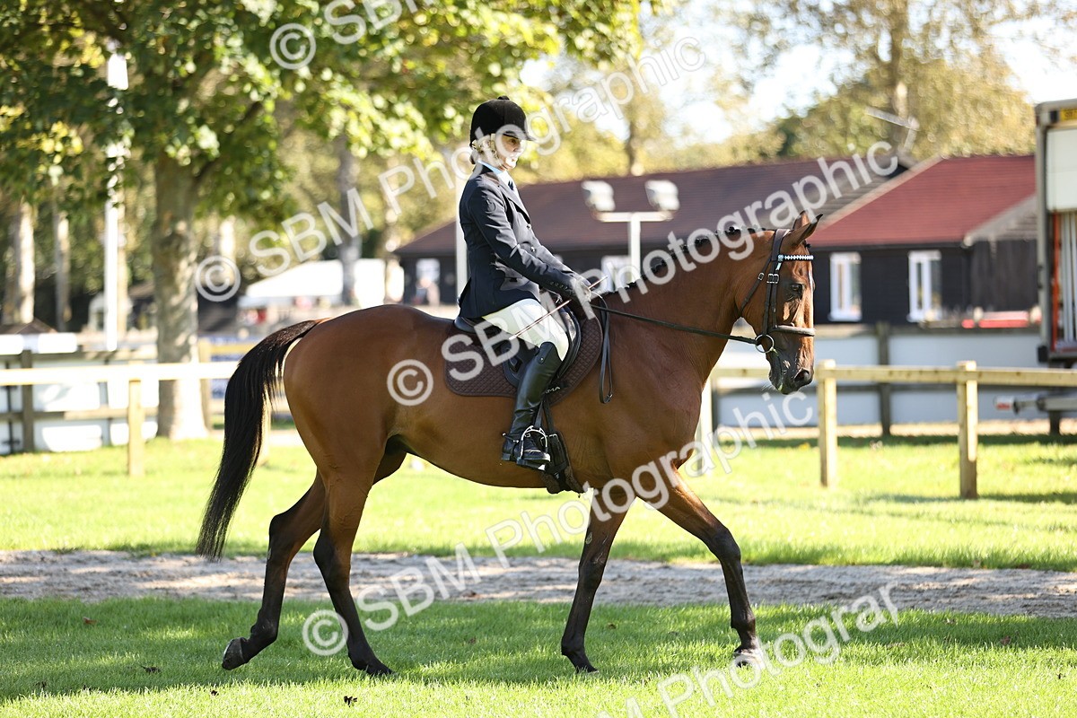 SBM_16860 - S2 - TSR Ridden Pony Showing