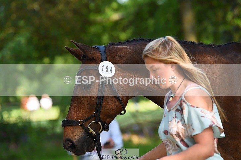 230524-170736-01299 - 154-GELUK_G-Molly_Adams-WEDTrotUp+DR