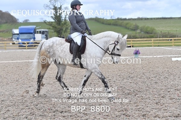 BPP_8800 - NOVICE 6
