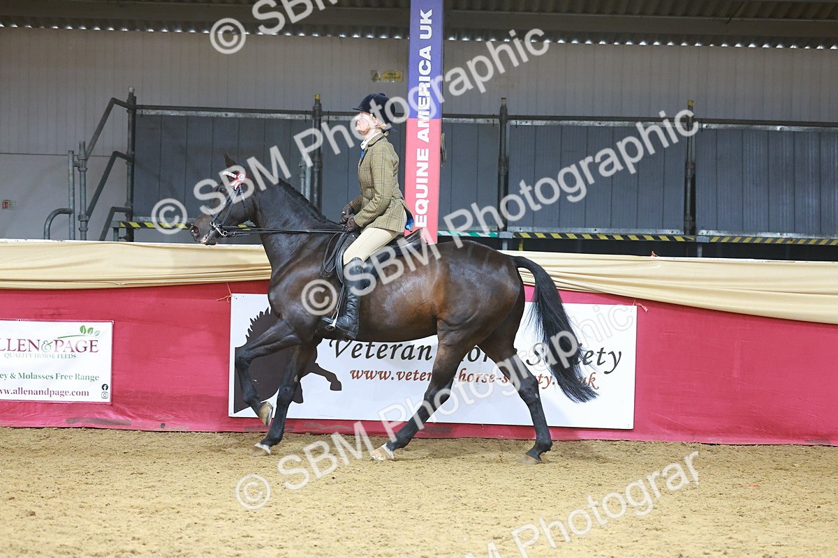 SBM_09663 - Class 102 - HOYS Veteran Qualifier - Ridden Veteran
