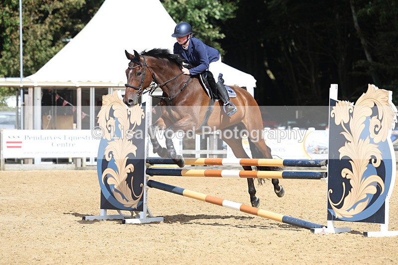 3E7A9454 - Class 9: Senior British Novice/90cm open