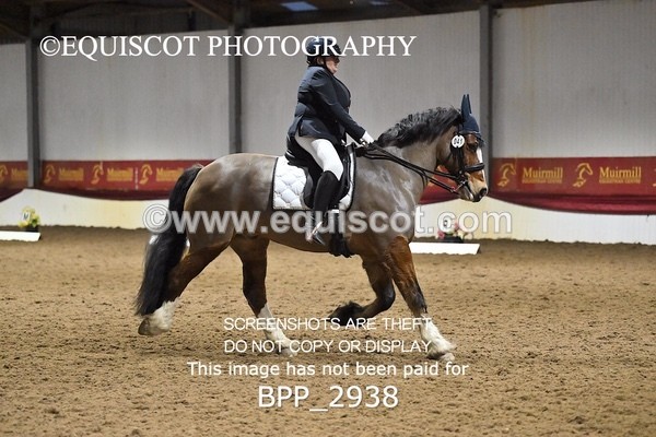 BPP_2938 - ELEM TEST 4