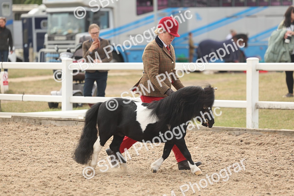 SBM_02053 - Class 15 - IH Coloured