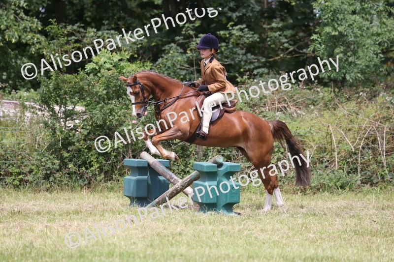 20260614-2816 - Class 22 - Open Working Hunter