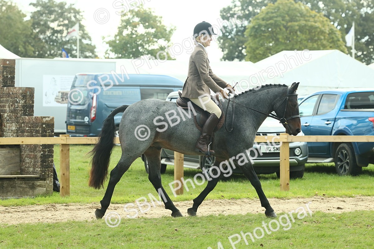 SBM_62585 - S63 - Other Coloured Horse Ridden