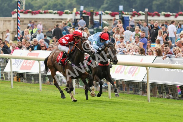 yr04092022p1-35 - 12.30pm 148cm Conditions Pony Race
